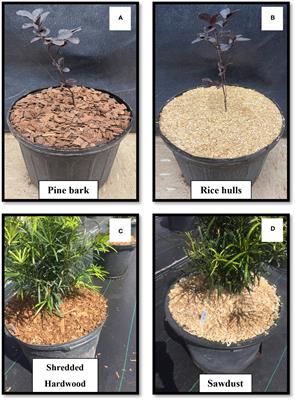 Mulching as a weed management tool in container plant production - review